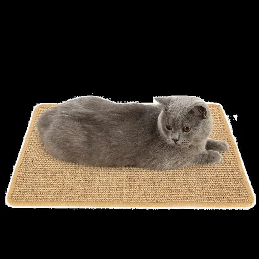Title 2, Cat Scratcher Sisal Mat Board offers durable sc...