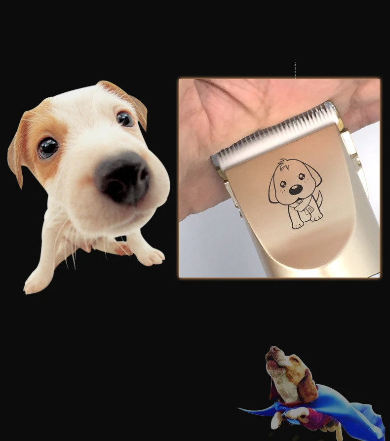 product image - 13