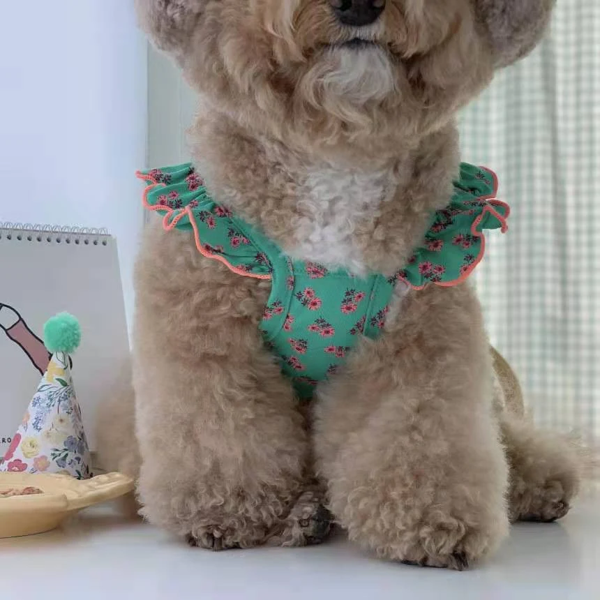 Title 5, Small Medium and Large Dog Fungus Roll Clothes ...