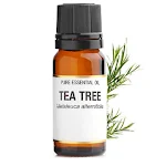 Tea Tree Essential Oil 10ml – Natural Antiseptic, Cleanses Skin & Hair, Versatile for Aromatherapy and Daily Skincare Ro — photo 1
