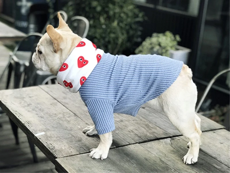 Title 3, Contrast pocket embroidered dog T-shirt, stylis...