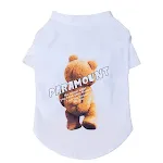 Adult White TShirt