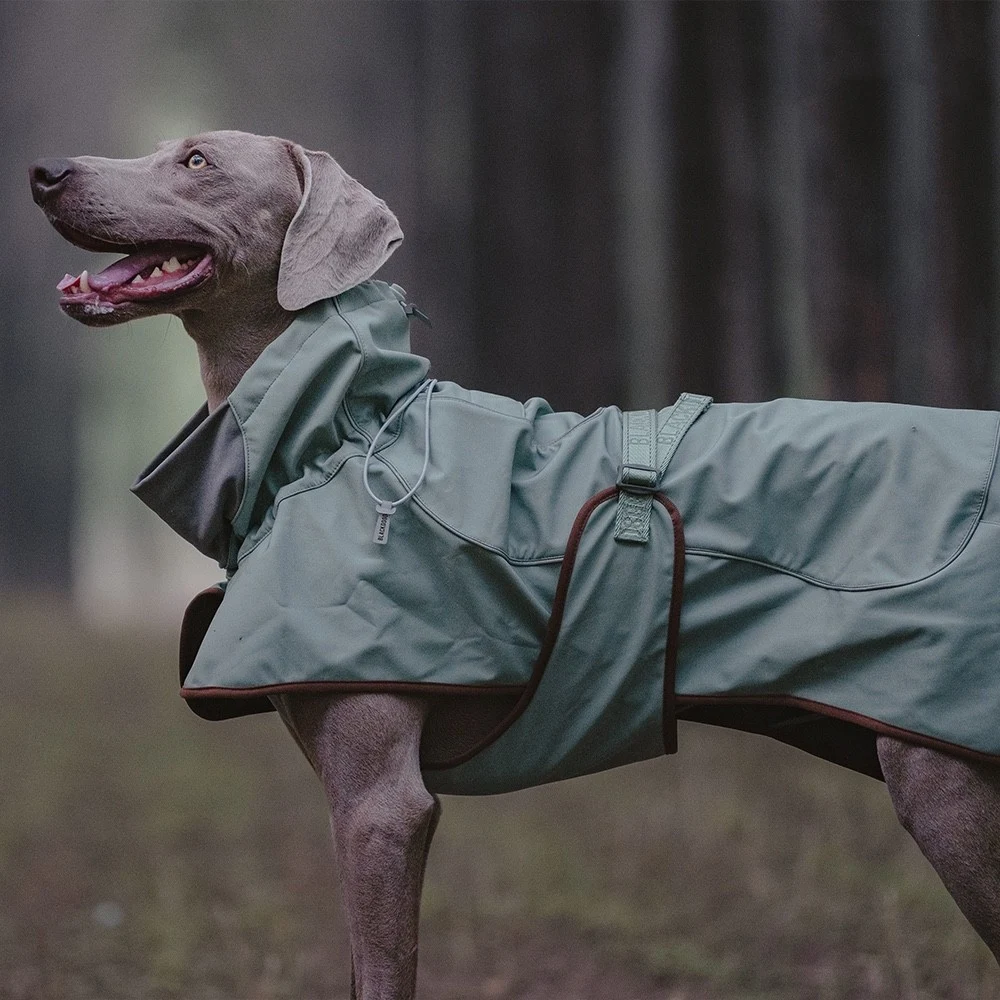 Waterproof Windproof Warm Soft Shell Dog Jacket for Outdoor Adventures, Providing Comfort and Protection in All Weather — photo 15