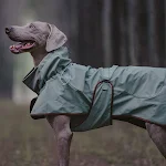 Waterproof Windproof Warm Soft Shell Dog Jacket for Outdoor Adventures, Providing Comfort and Protection in All Weather — photo 15