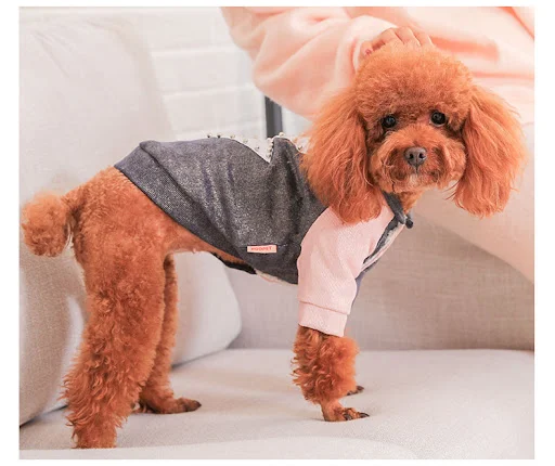 Title 9, Abrigo de algodón para perros pequeños Ropa cóm...