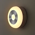 0.8W