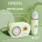 Green Single Microphone
