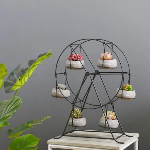 Title 1, Ferris Wheel-Stand com 6 vasos de plantas sucul...