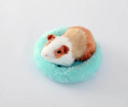 Hamster Nest Pad Velvet Warm Pet Cushion Hedgehog Chinchilla Rabbit For Rodent/Guinea Pig/Rat/Hedgehog 6 Colors Pet supp — photo 1