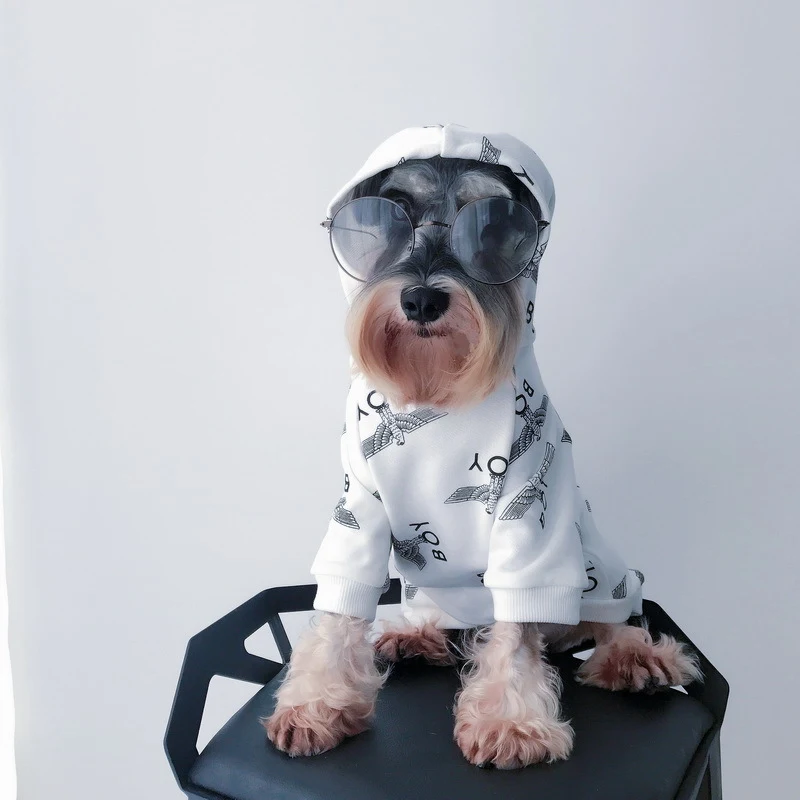 Title 4, Fall/Winter Pet Sweaters Keep your dog warm and...