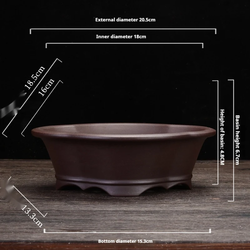 Orchid Grass Succulent Purple Sand Flowerpot, bringing a natural and elegant touch to your home or office, enhancing any — photo 6
