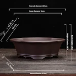 Orchid Grass Succulent Purple Sand Flowerpot, bringing a natural and elegant touch to your home or office, enhancing any — photo 6