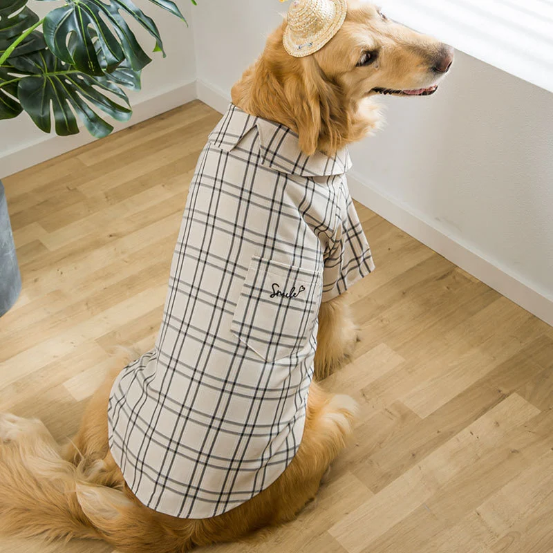 Title 2, Ropa para perros grandes