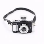 SLR camera