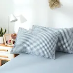 Light blue squares