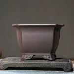 Purple Sand Square Bonsai Pot. Enhance your bonsai with this elegant square pot. Durable, stylish, and uniquely designed — photo 4