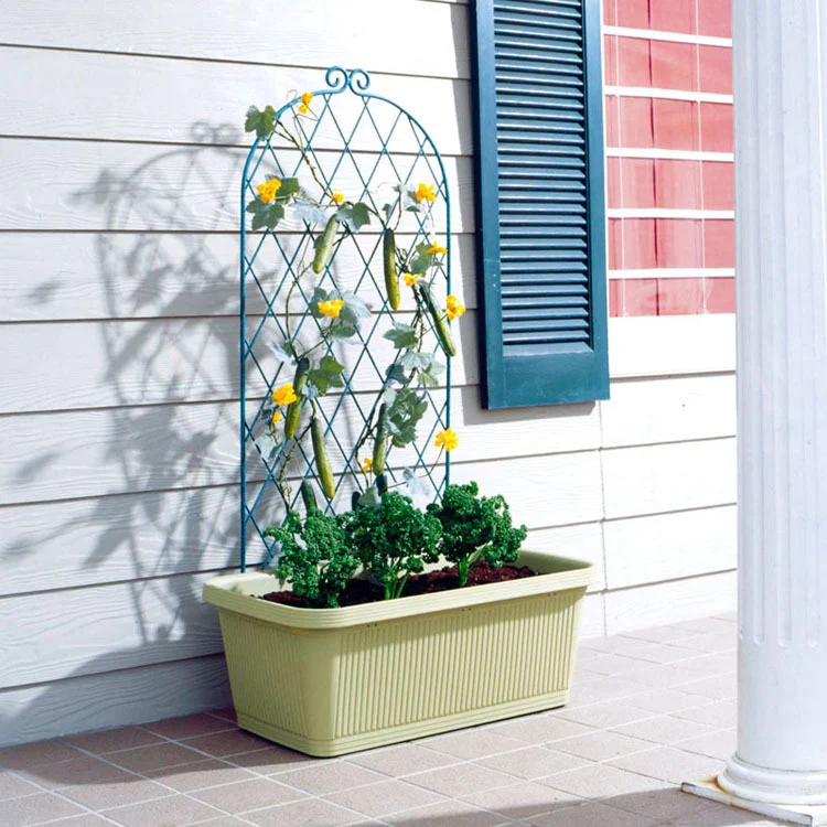 product image - 12