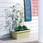 miniatures image - 12