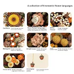 miniatures image - 4