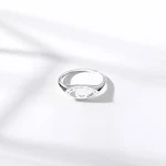 miniatures image - 2