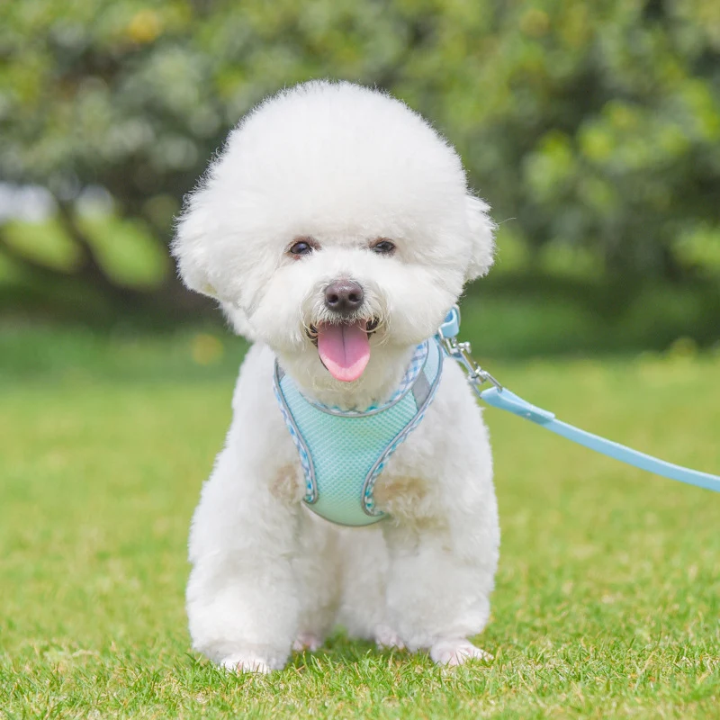 product image - 10