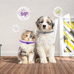 miniatures image - 12