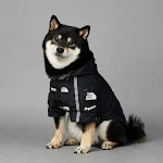 Windproof and Rainproof Dog Coat Large Keeps Your Dog Dry and Comfortable in Any Weather Perfect for Walks and Outdoor A — photo 5