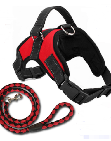 Image product - 1