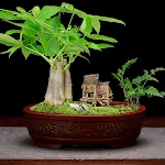 miniatures image - 9