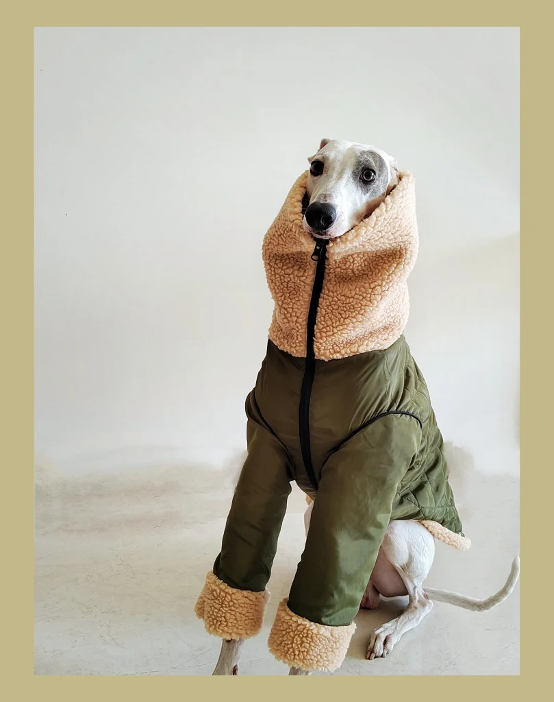 product image - 2