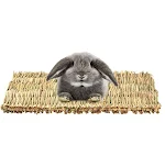 miniatures image - 1