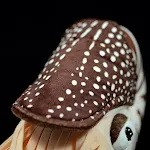 Simülasyon İnci Nautilus Bebek Simülasyon Hayvan Peluş Oyuncak Modeli, yumuşak ve gerçekçi, çocuklar için ideal, koleksiyon veya oyun için mükemmel. — Fotoğraf 4