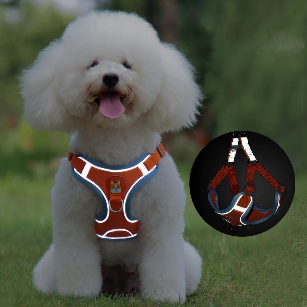 product image - 12