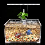 miniatures image - 2