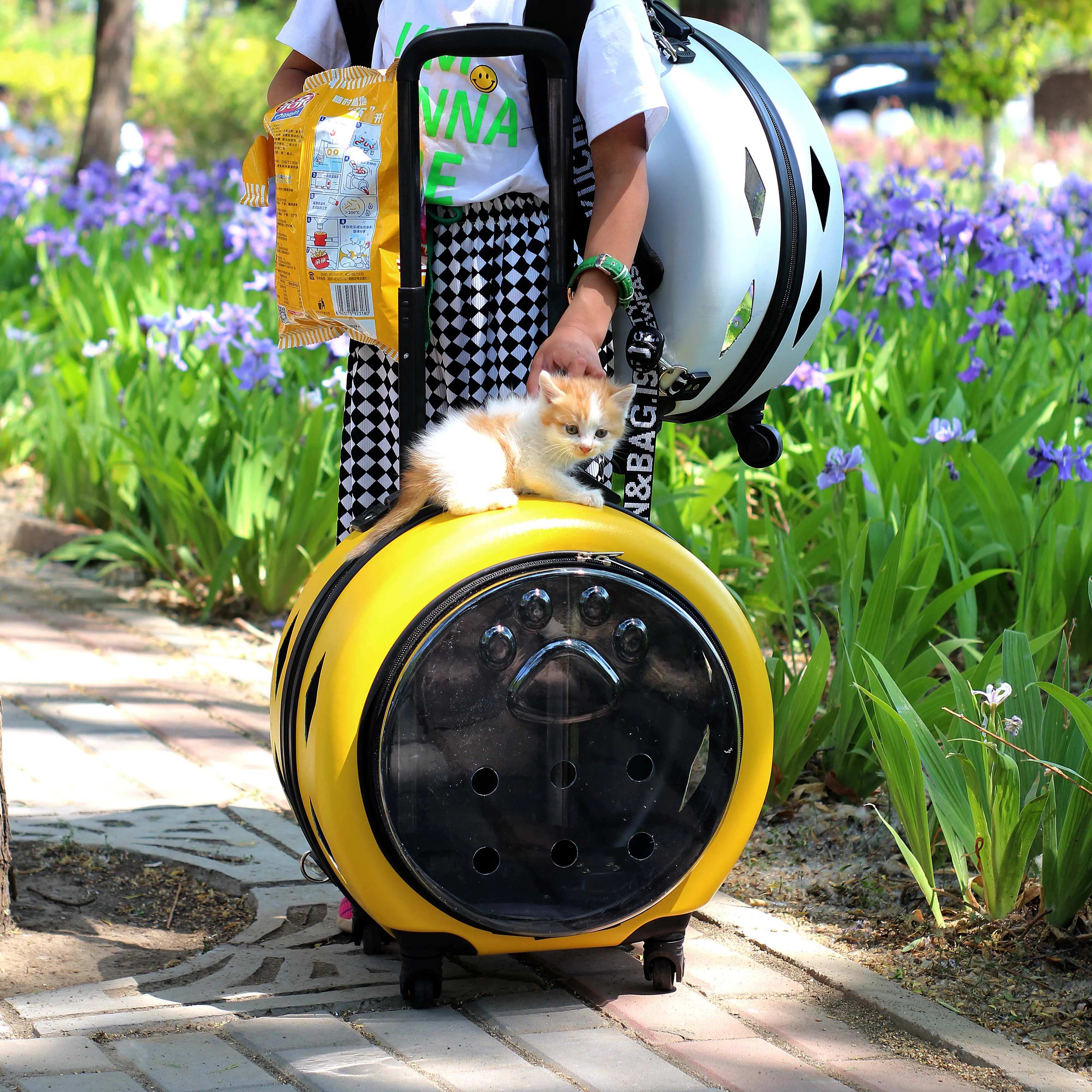 Title 80, Small Handbag Cats Carriers Transportin Outdoor...