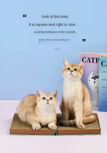 Title 3, Cat Wiki Corrugated Scratching Board Satisfies ...