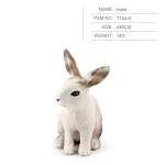 Begonia Rabbit