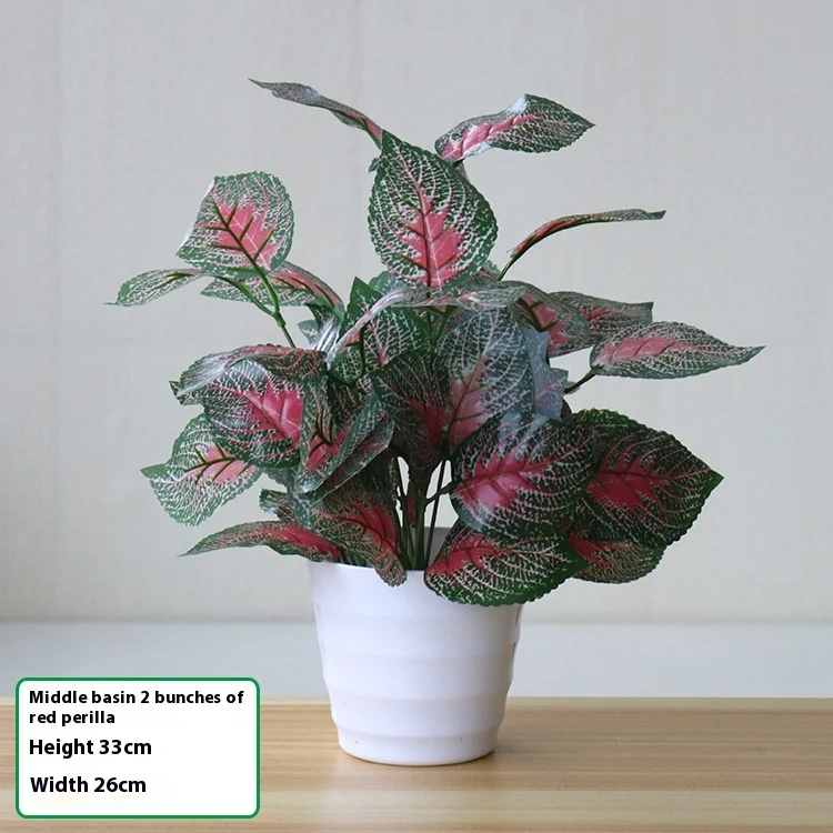 product image - 30