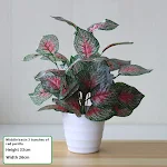 miniatures image - 30