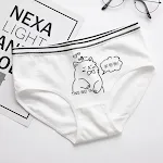 White Background Shy Cat