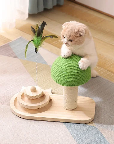Image product - 3