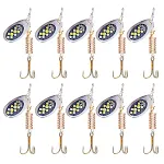10PCS