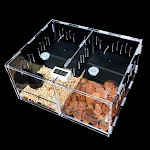 Reptile Feeder Tank Acrylic Terrarium Insect Spiders Lizard Breeding Box TerrariumTortoise Snake House Cage Reptiles Acc — photo 1
