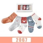 2067style