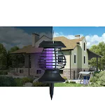 miniatures image - 2