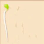 miniatures image - 2