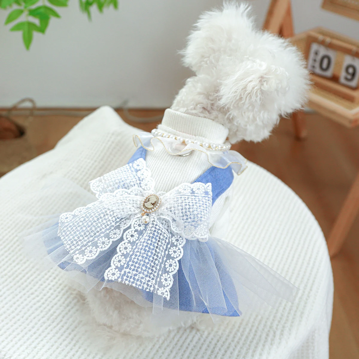 Pearl Lace Cute Pet Dog Cat Clothes and Dresses – Adorable & Comfortable Outfits for Your Beloved Pets, Perfect for Styl — photo 4