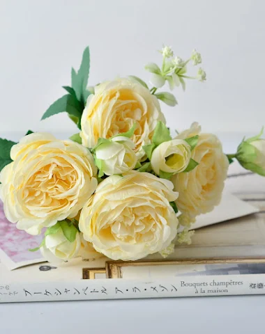 Image product - 0