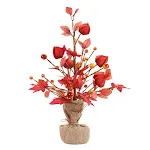 Maple Tree