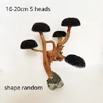 16-20cm 5 heads